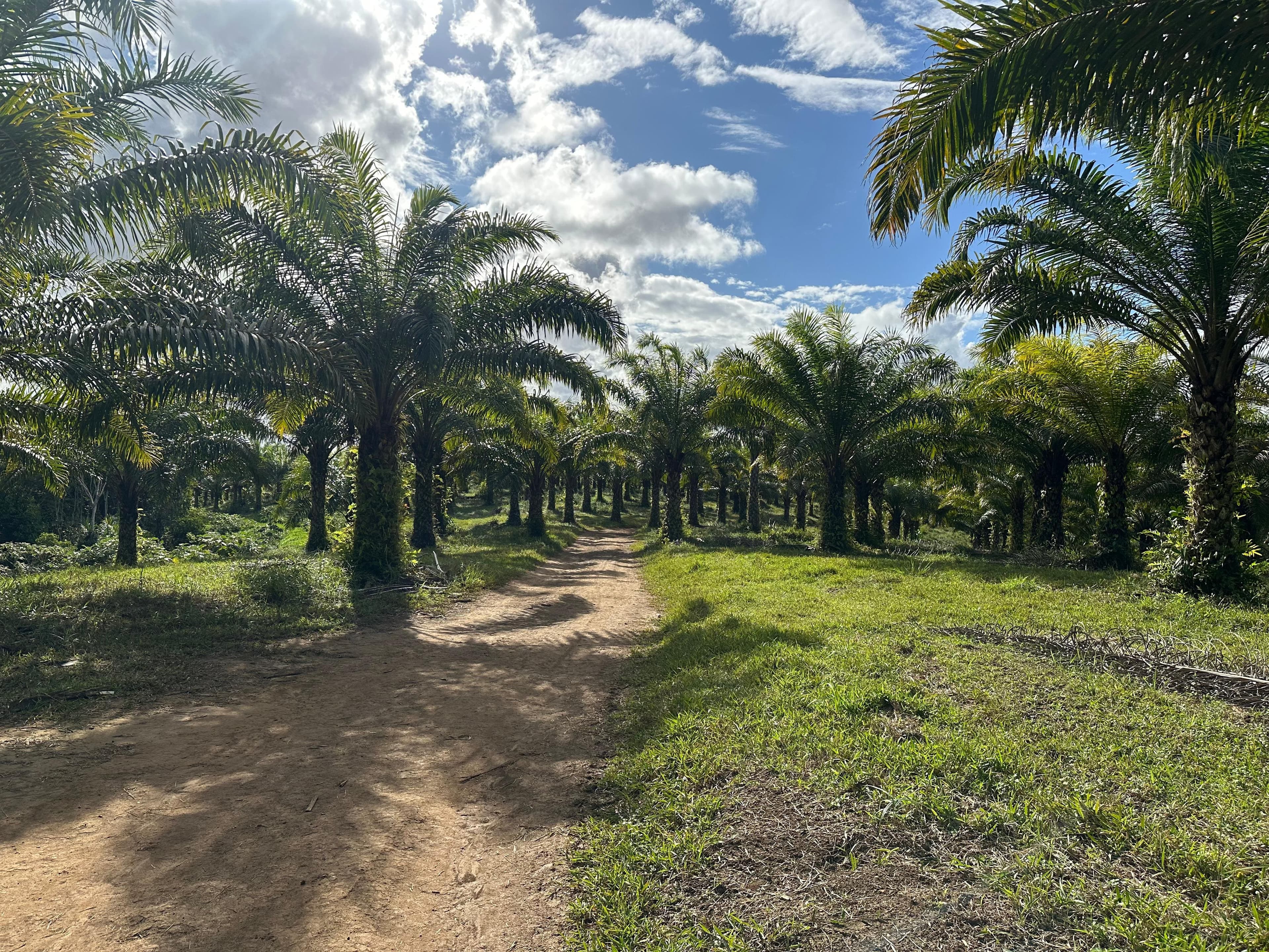 Fale Conosco